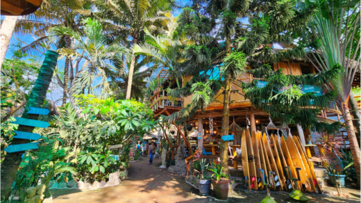 surf retreats in Ecuador